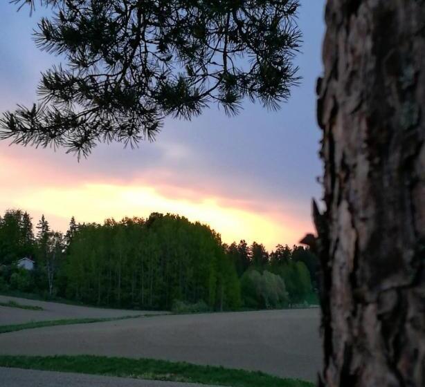 مبيت وإفطار Willa Mustijoki