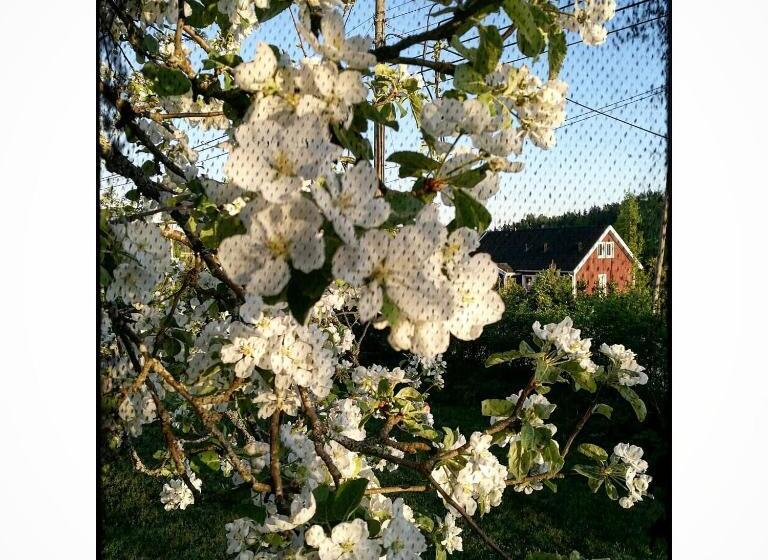 مبيت وإفطار Willa Mustijoki