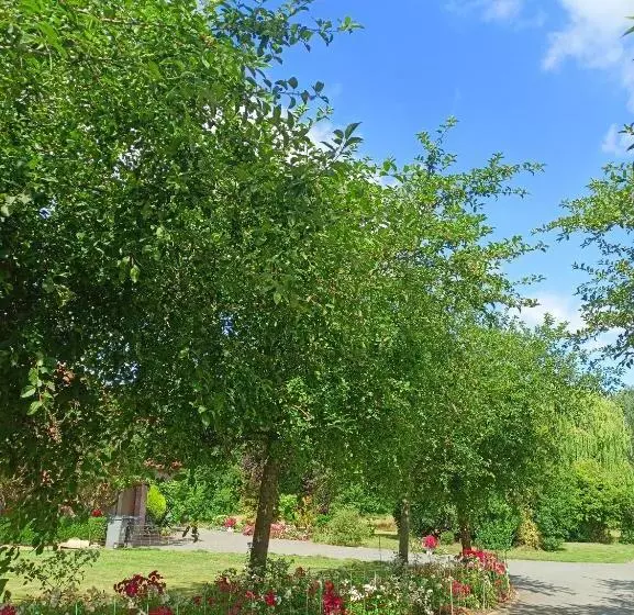Majatalo Les Chambres D Hôtes Du Vert Galant  L Allée Des Champs