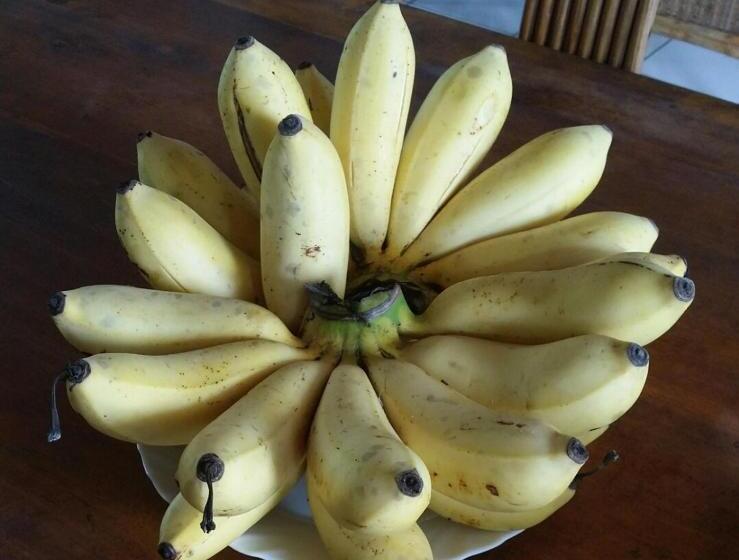 بنسيون Sendowan Baru Amurang