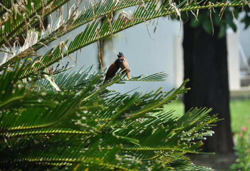 بنسيون Sendowan Baru Amurang