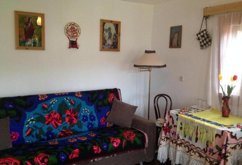 Pensiunea Turlas Maria