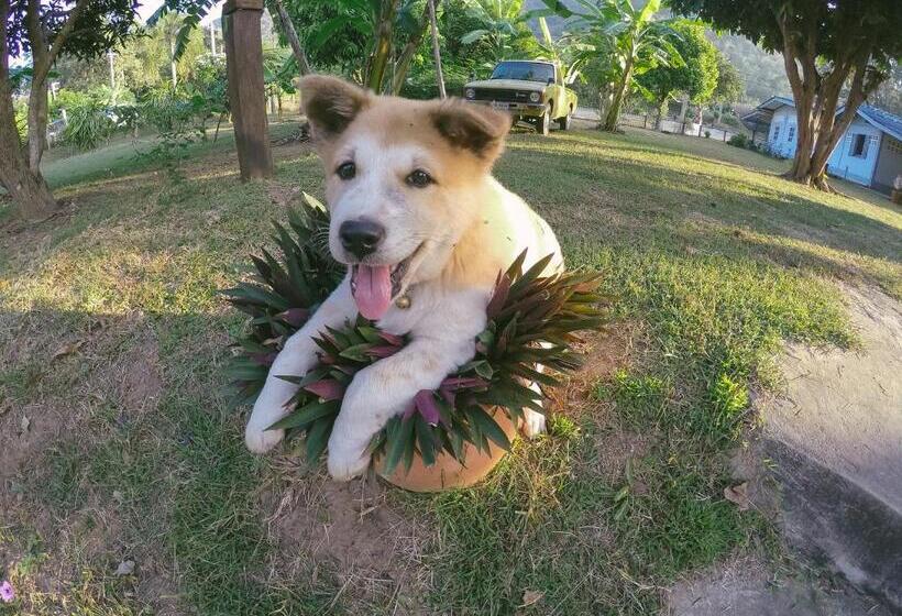 リゾートホテル Baan Krupong