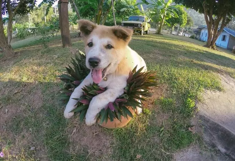 Lomakeskus Baan Krupong