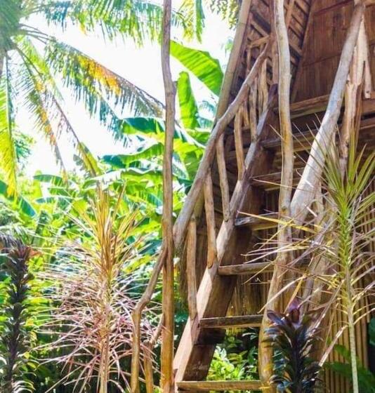 فندق صغير Aventura Bed And Breakfast