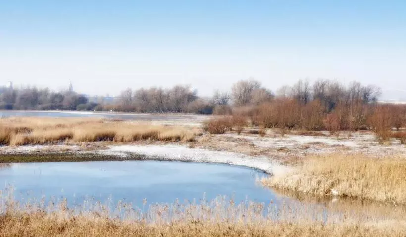 ユースホステル Gezinskamer Van Waard Van Kekerdom