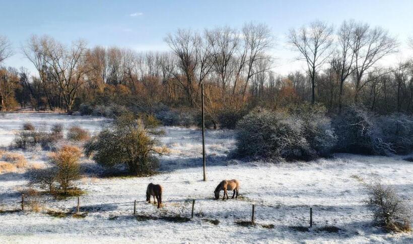ユースホステル Gezinskamer Van Waard Van Kekerdom