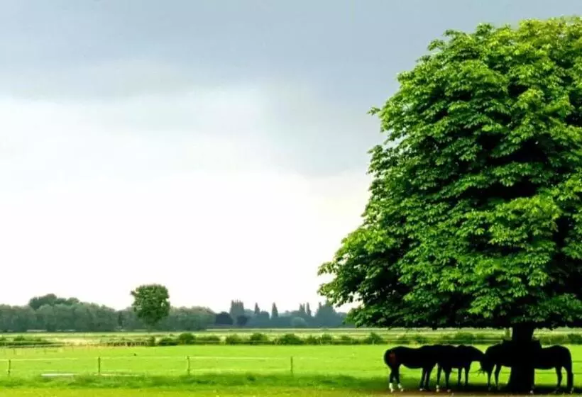 ユースホステル Gezinskamer Van Waard Van Kekerdom