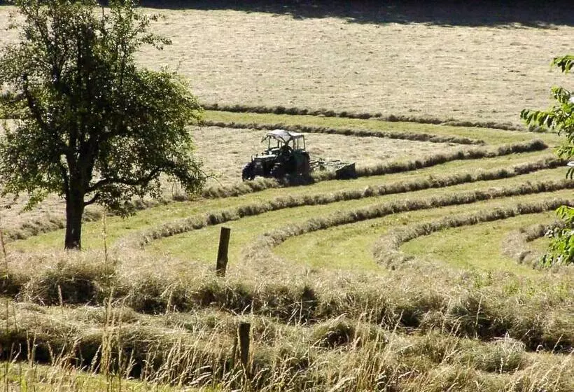 Retkeilymaja Morgentau Appartement