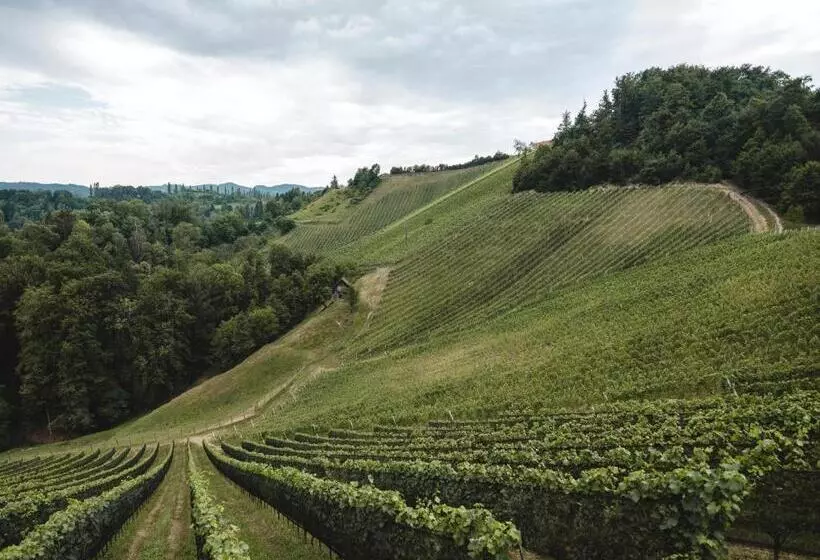 Retkeilymaja Weingut Essgut Schlafgut Sabathihof Dillinger