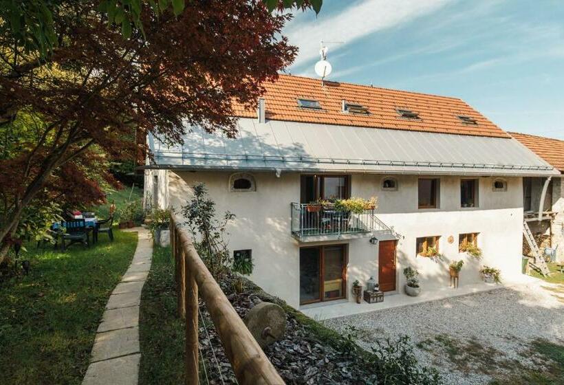 B&b Al Vecchio Carpino