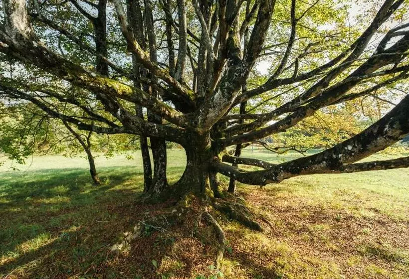 B&b Al Vecchio Carpino