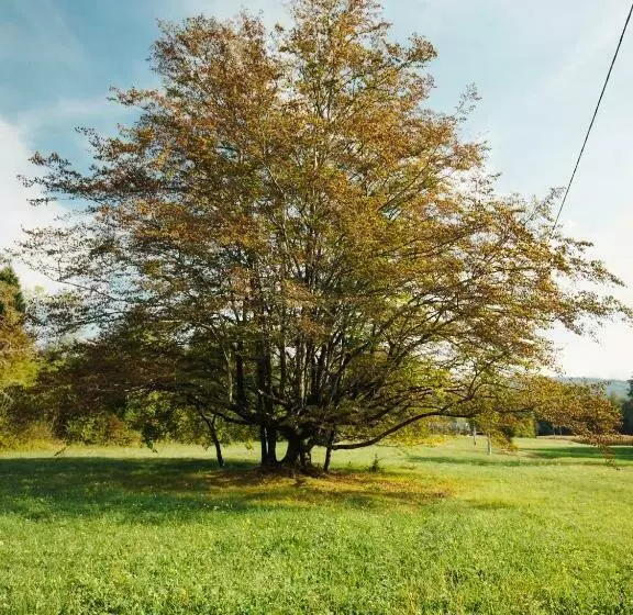 B&b Al Vecchio Carpino