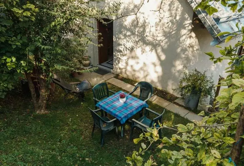 B&b Al Vecchio Carpino