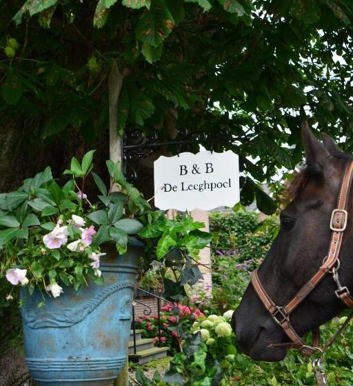 B&b De Leeghpoel