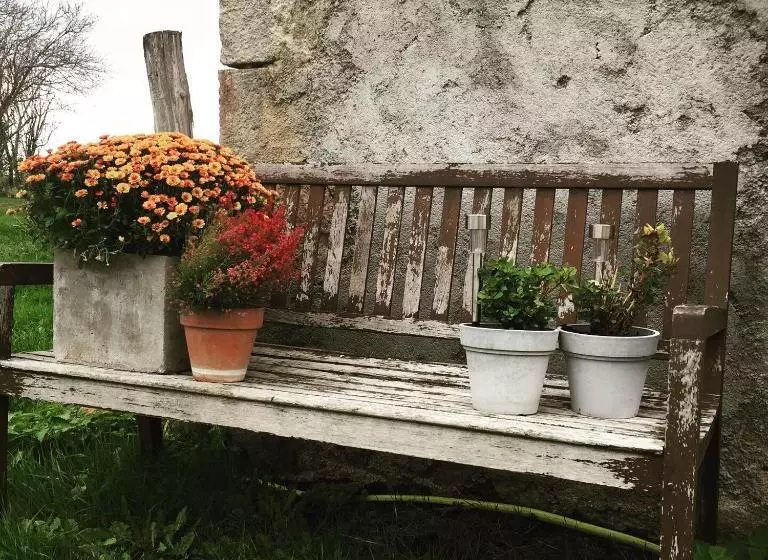 Aamiaismajoitus (B&B) Chambres D Hôtes Domaine Les Grands Pérons