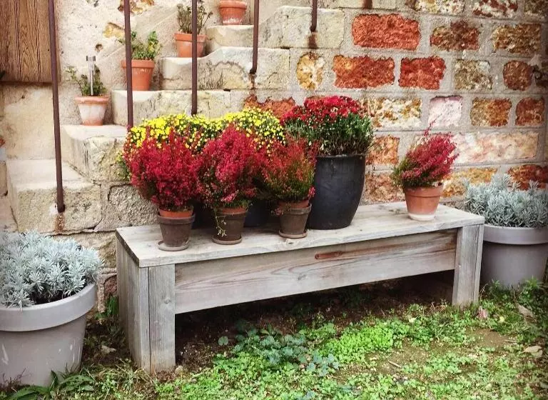 Aamiaismajoitus (B&B) Chambres D Hôtes Domaine Les Grands Pérons