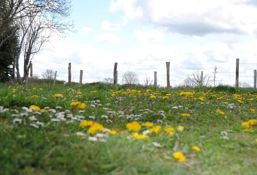 Bed and Breakfast Chambres D Hôtes Domaine Les Grands Pérons