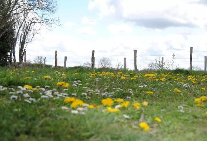 Aamiaismajoitus (B&B) Chambres D Hôtes Domaine Les Grands Pérons