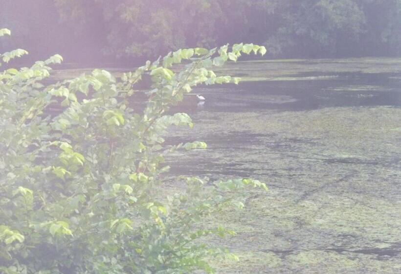 مبيت وإفطار Le Moulin De Cors