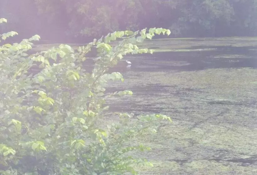 ベッドアンドブレックファースト Le Moulin De Cors