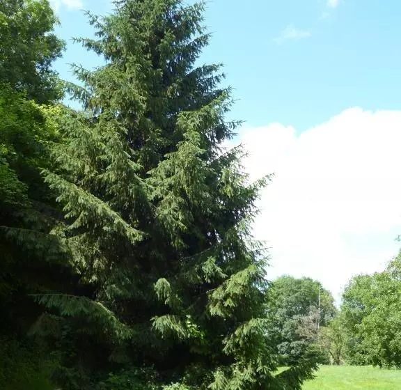 ベッドアンドブレックファースト Le Moulin De Cors