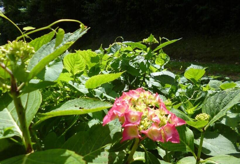 مبيت وإفطار Le Moulin De Cors