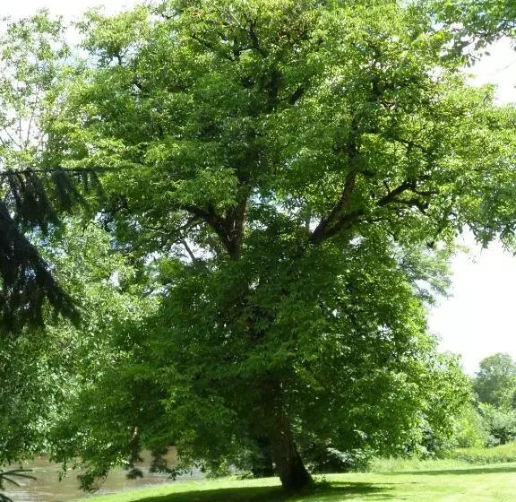 ベッドアンドブレックファースト Le Moulin De Cors