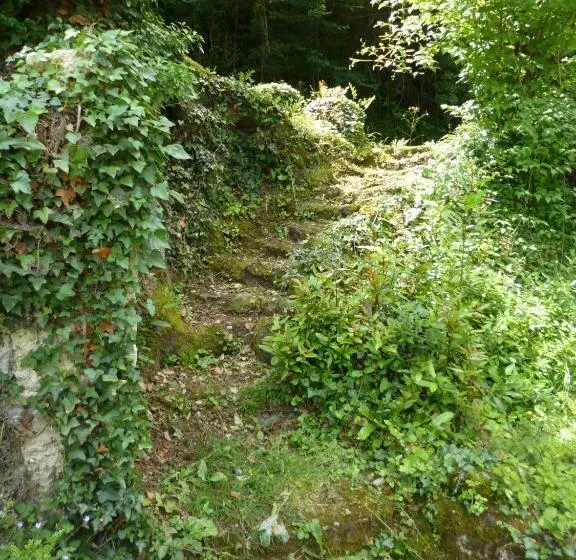 ベッドアンドブレックファースト Le Moulin De Cors