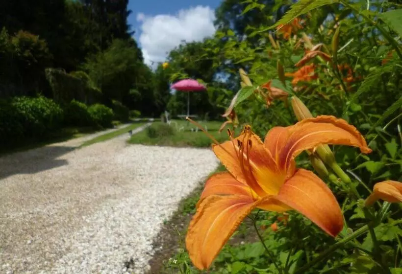 ベッドアンドブレックファースト Le Moulin De Cors