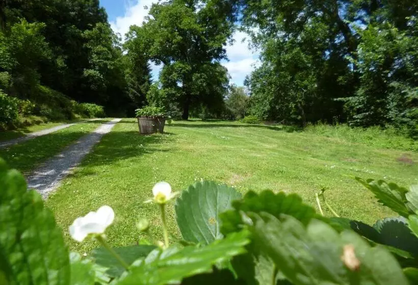 ベッドアンドブレックファースト Le Moulin De Cors