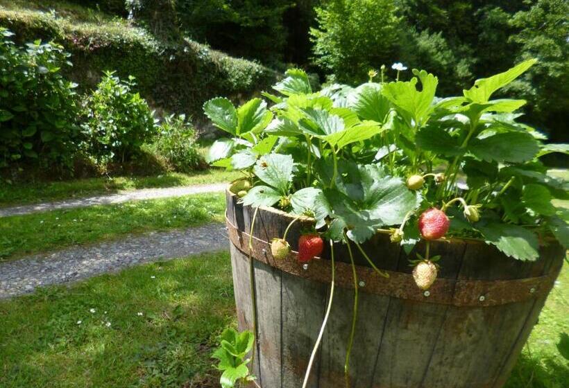 مبيت وإفطار Le Moulin De Cors