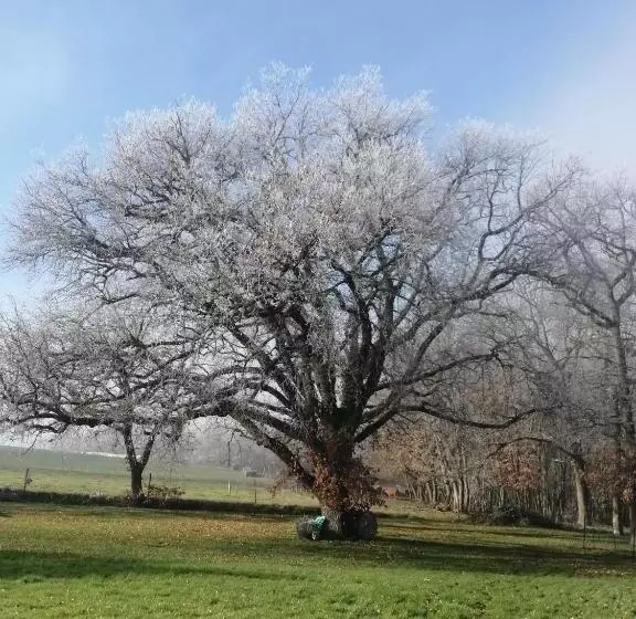 Aamiaismajoitus (B&B) Maison Maupas Chambre Rouge