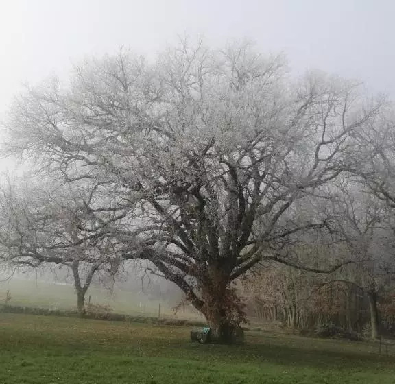 Aamiaismajoitus (B&B) Maison Maupas Chambre Rouge
