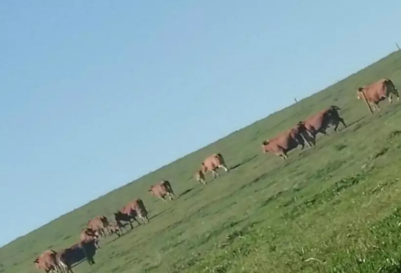 Aamiaismajoitus (B&B) Maison Maupas Chambre Rouge