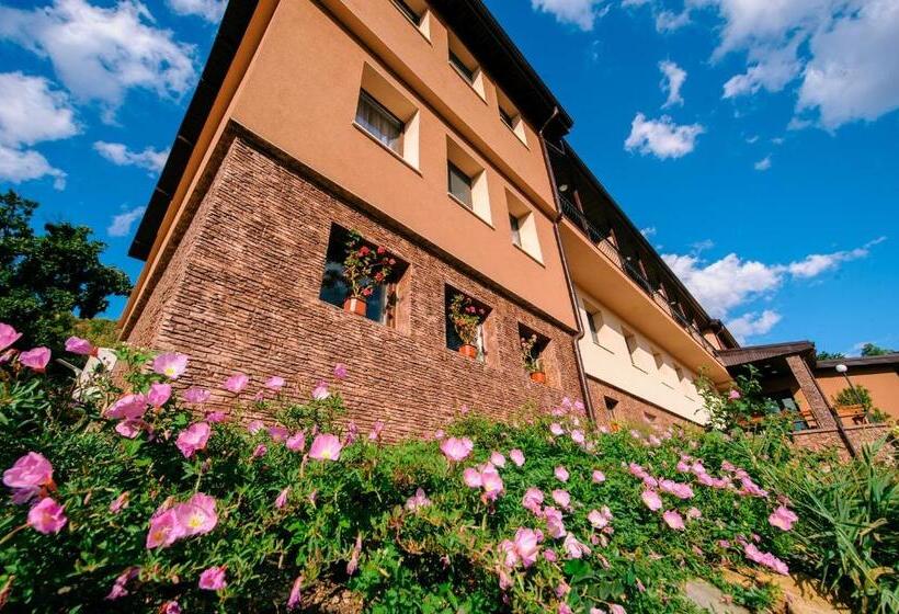 Hotel пиргуля