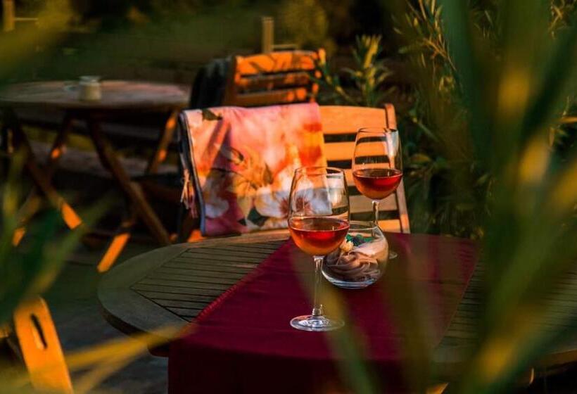 Hotel пиргуля