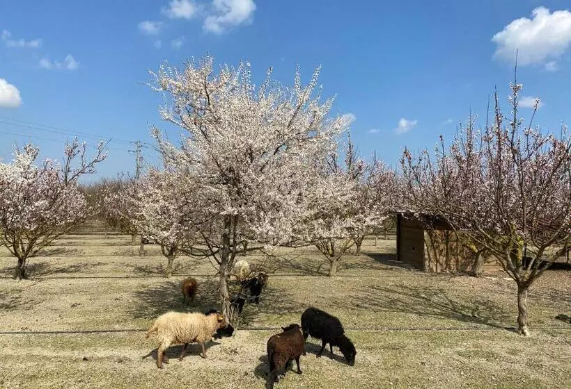 هتل Agriturismo San Michele