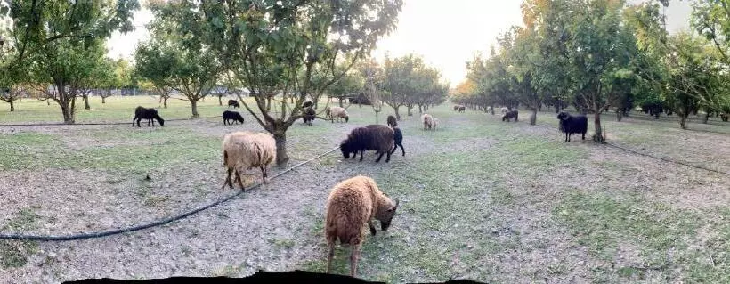 هتل Agriturismo San Michele
