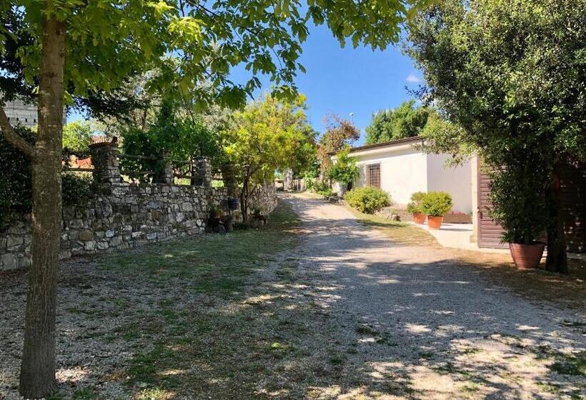 בית מלון כפרי Il Casolare Degli Alburni