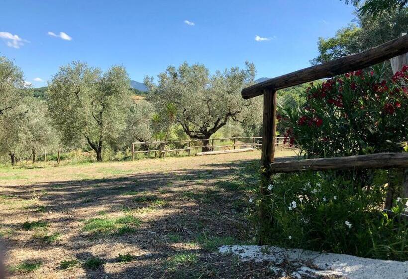 בית מלון כפרי Il Casolare Degli Alburni