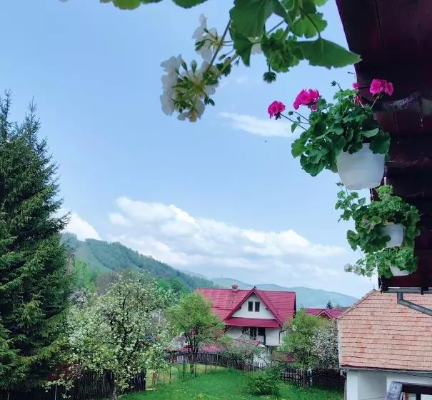 ホテル Voinescu House   Natural Living & Eating