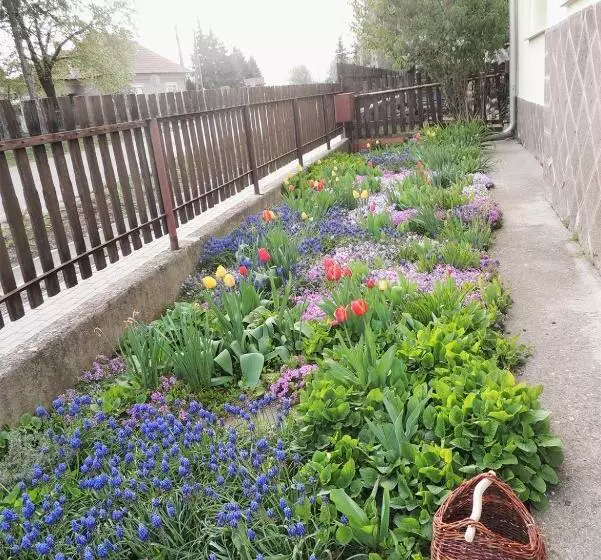 Majatalo Levendula Vendégház