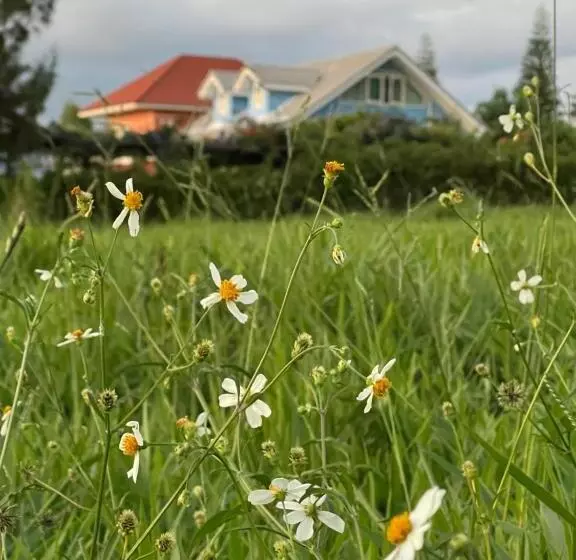 Majatalo Misty English Cottage