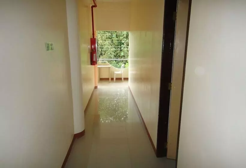 Amerson Pension Place   Hostel