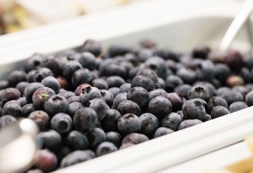 ホテル Albergo Croce Bianca