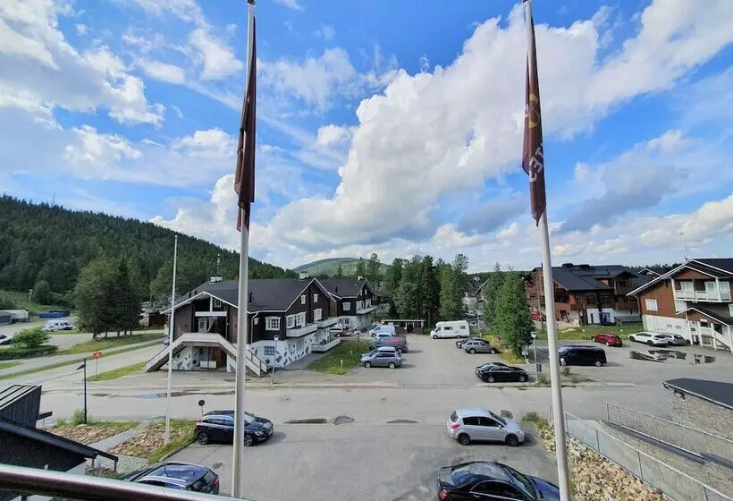 Levi Suites Levi Gold