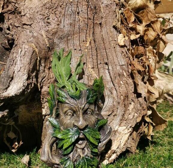 مبيت وإفطار La Chaumière Des Elfes, énigmes Et Magie