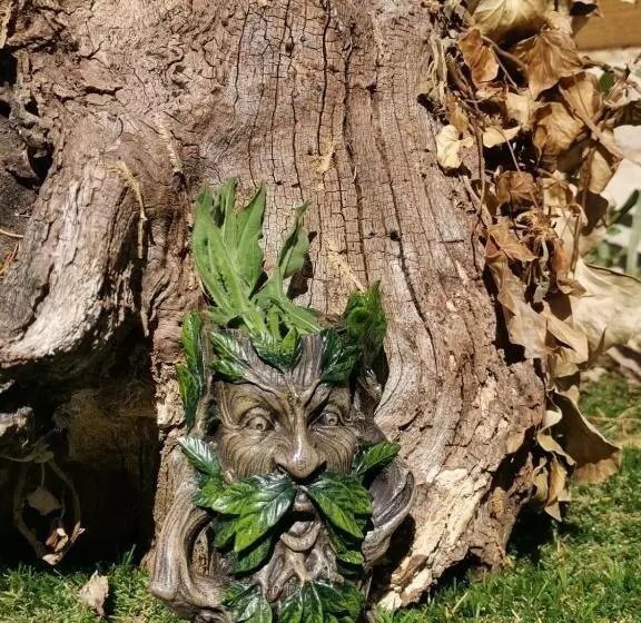 Aamiaismajoitus (B&B) La Chaumière Des Elfes, énigmes Et Magie