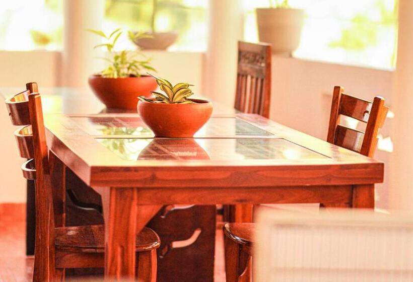 Отель Golden Town